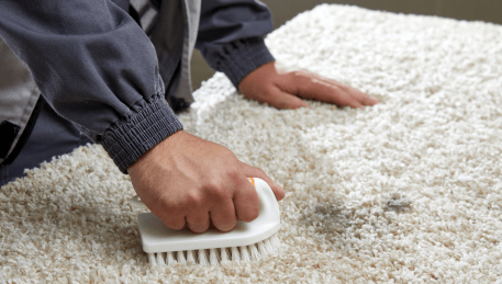 Professional Rug Cleaning Dandenong